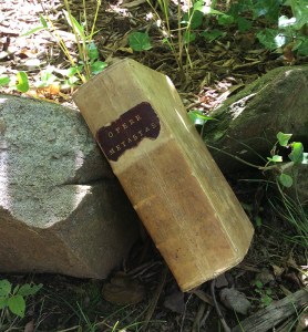 spine of old Italian book