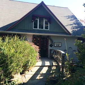 cat tail bindery photo