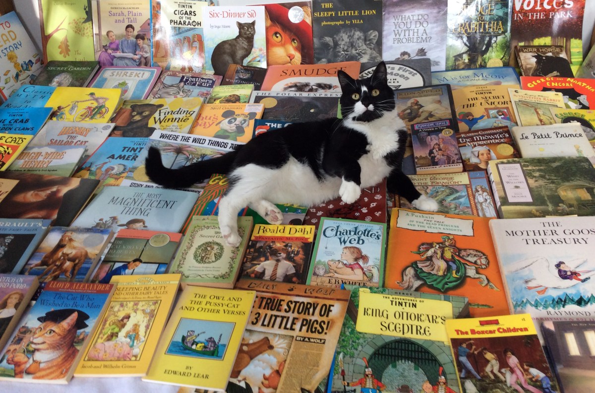 Books and Cats (Go Together Like a Horse and&nbsp;Carriage)
